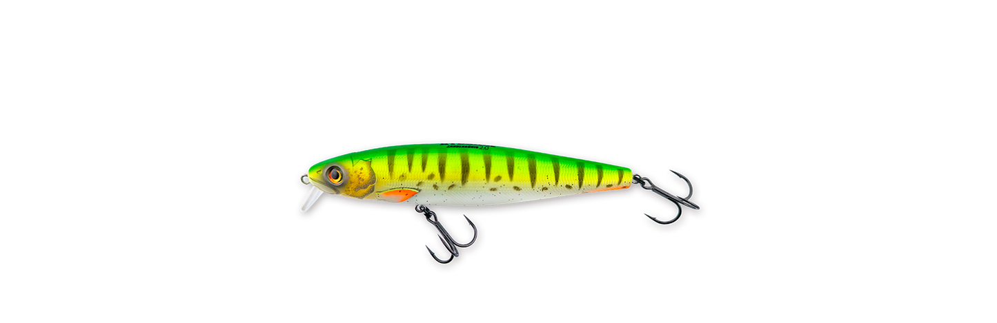 Hybrida Zanderkönig 2.0