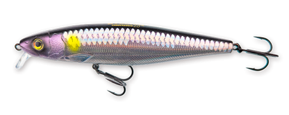Hybrida Zanderkönig 2.0