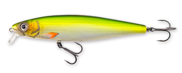 Hybrida Zanderkönig 2.0