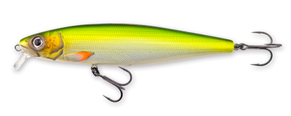 Hybrida Zanderkönig 2.0