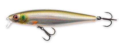 Hybrida Zanderkönig 2.0