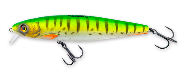 Hybrida Zanderkönig 2.0