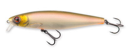 Hybrida Zanderkönig 2.0